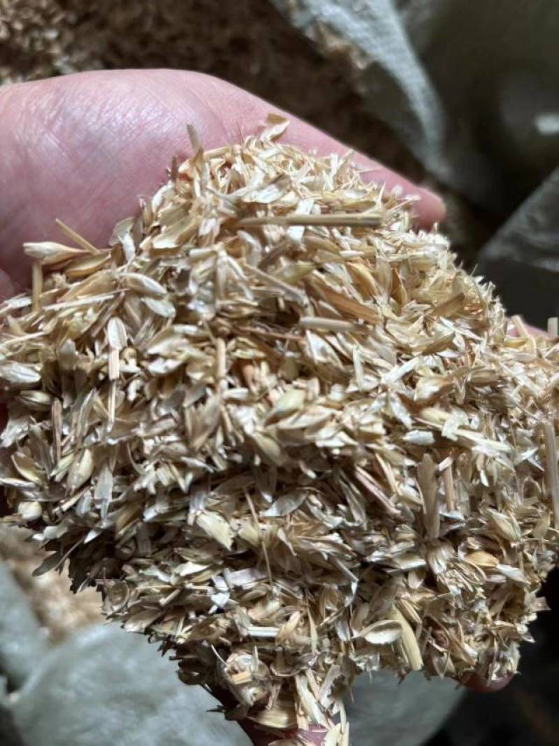 精品除尘风选麦糠