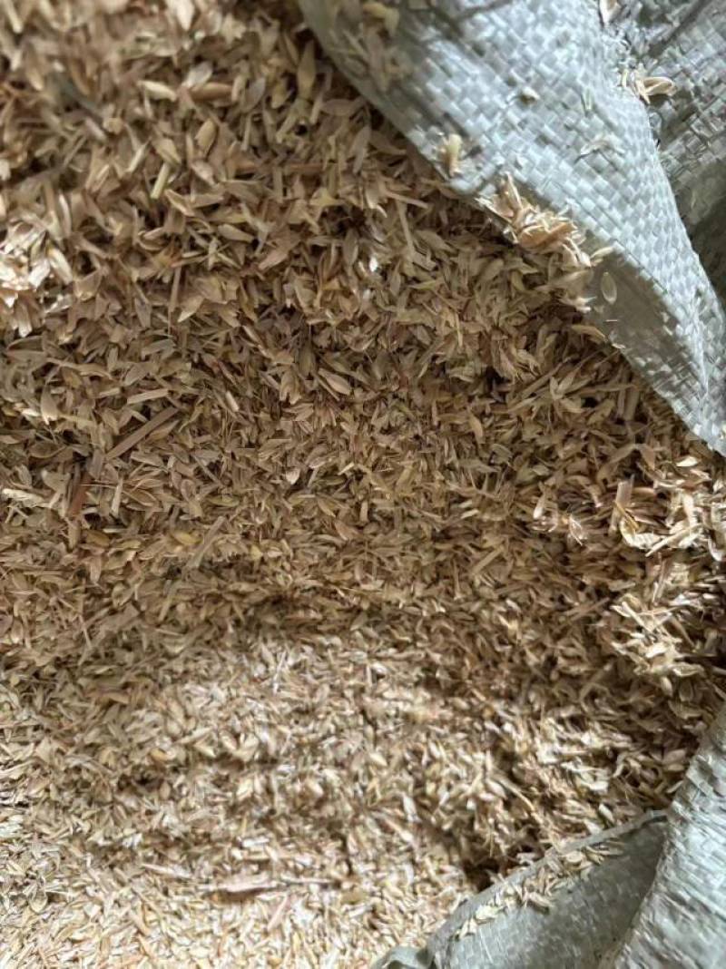 精品除尘风选麦糠