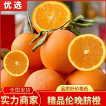 【伦晚脐橙】湖北脐橙大量有货一手货源欢迎咨询