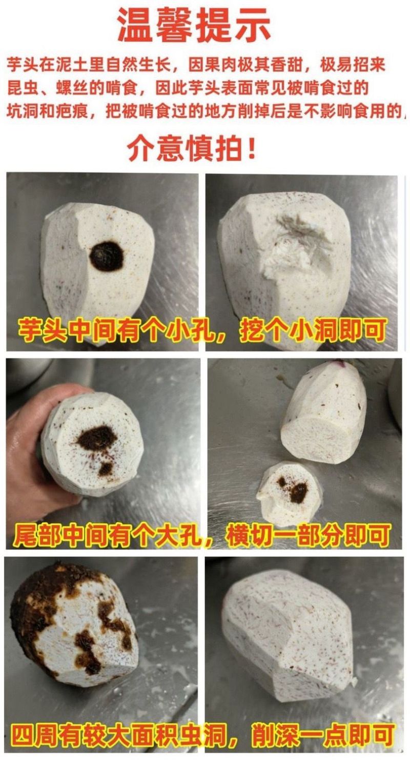 包邮）正宗新鲜荔浦大芋头广西特产粉糯农家现挖槟榔香芋泥