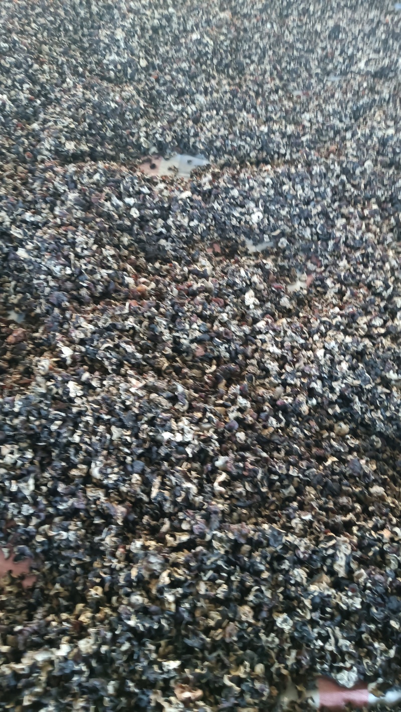 木耳摆地摊赶集黑木耳，干木耳小木耳优质木耳单片木耳无根货