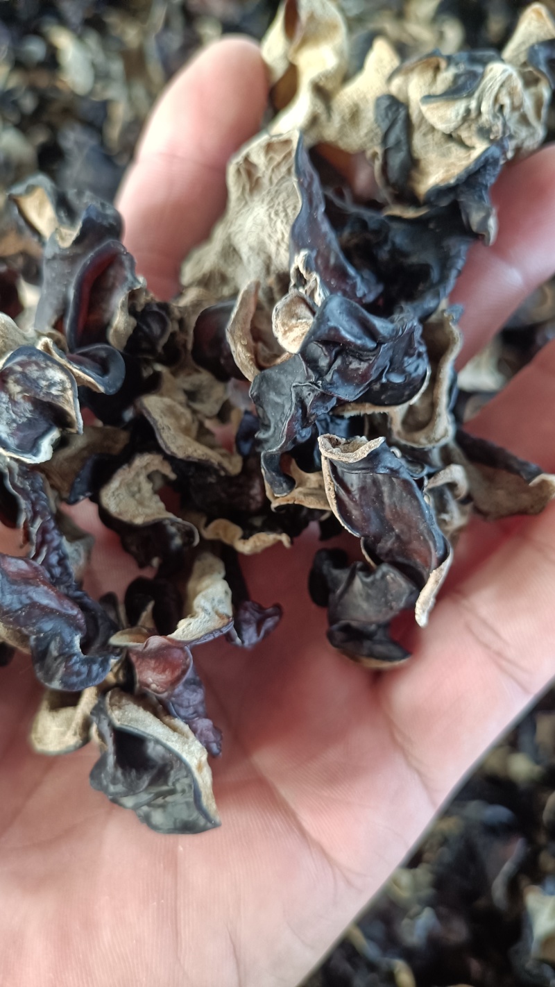 木耳摆地摊赶集黑木耳，干木耳小木耳优质木耳单片木耳无根货