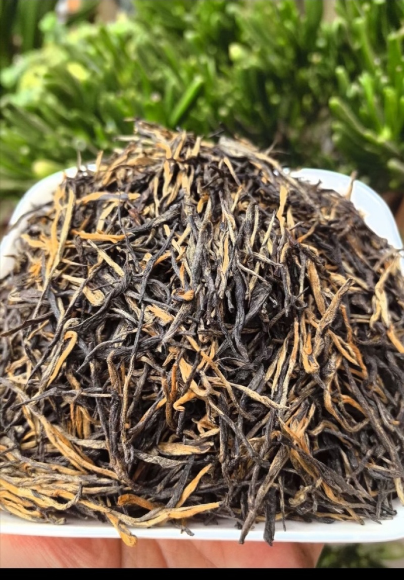 滇红茶经典58
