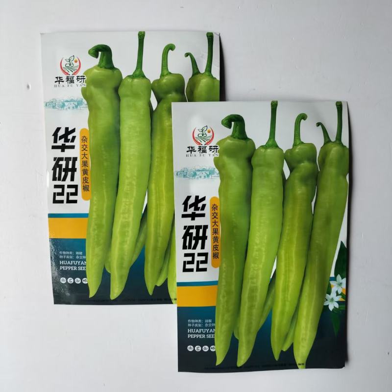 华研22大果高产青黄皮粗尖椒辣椒种子有辣味辣椒种子