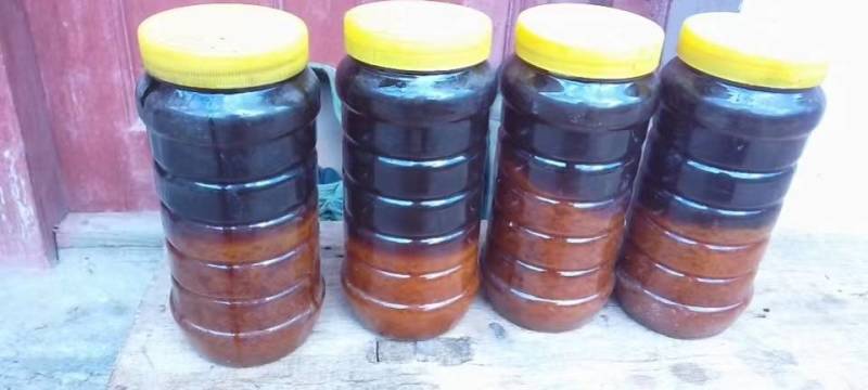 甘肃陇南野生蜂蜜，新鲜采摘，健康美味，寻全国采购商