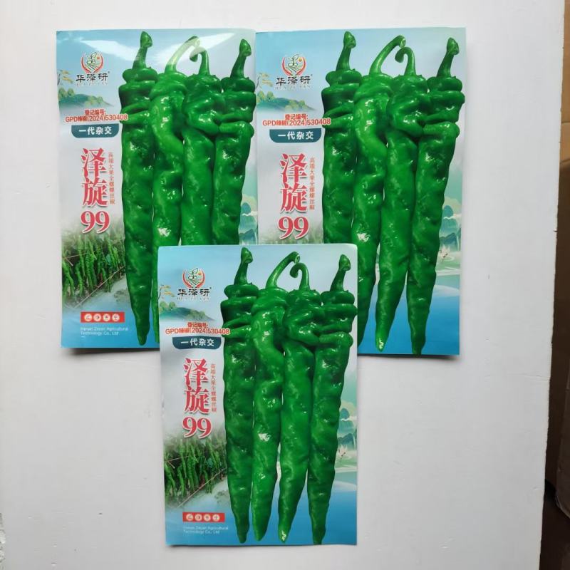 华泽研泽旋99早中熟杂交一代螺丝椒种子