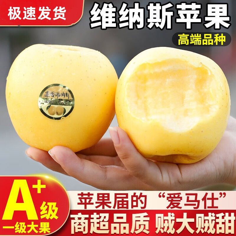 维纳斯黄金苹果，主产地威海荣成。上万亩基地