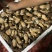 美味牛肝菌
