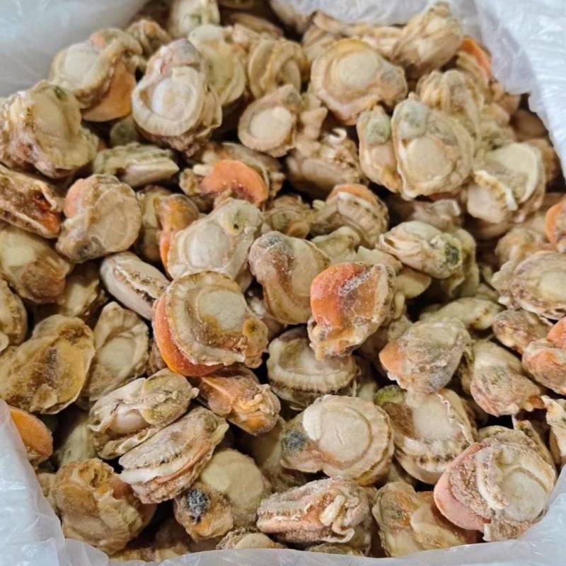 扇贝肉，价格便子，货量充足，干冰和冰衣常年有货，各种规格