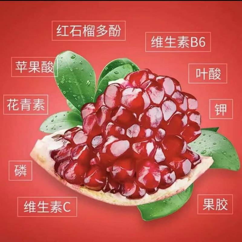 会理突尼斯软籽石榴