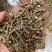 正宗铁皮石斛寸条干条金短条铁皮石斛枫斗石斛石斛批发