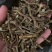 正宗铁皮石斛寸条干条金短条铁皮石斛枫斗石斛石斛批发