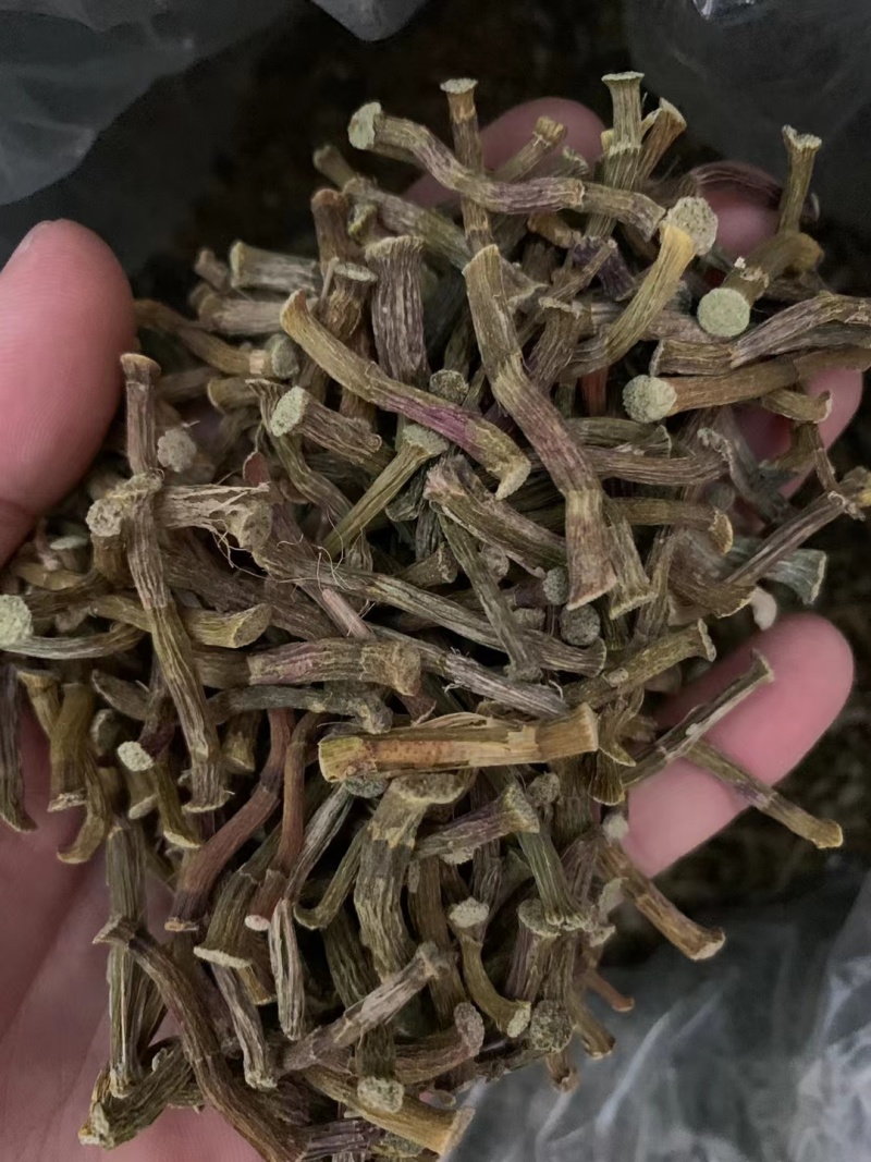 正宗铁皮石斛寸条干条金短条铁皮石斛枫斗石斛石斛批发