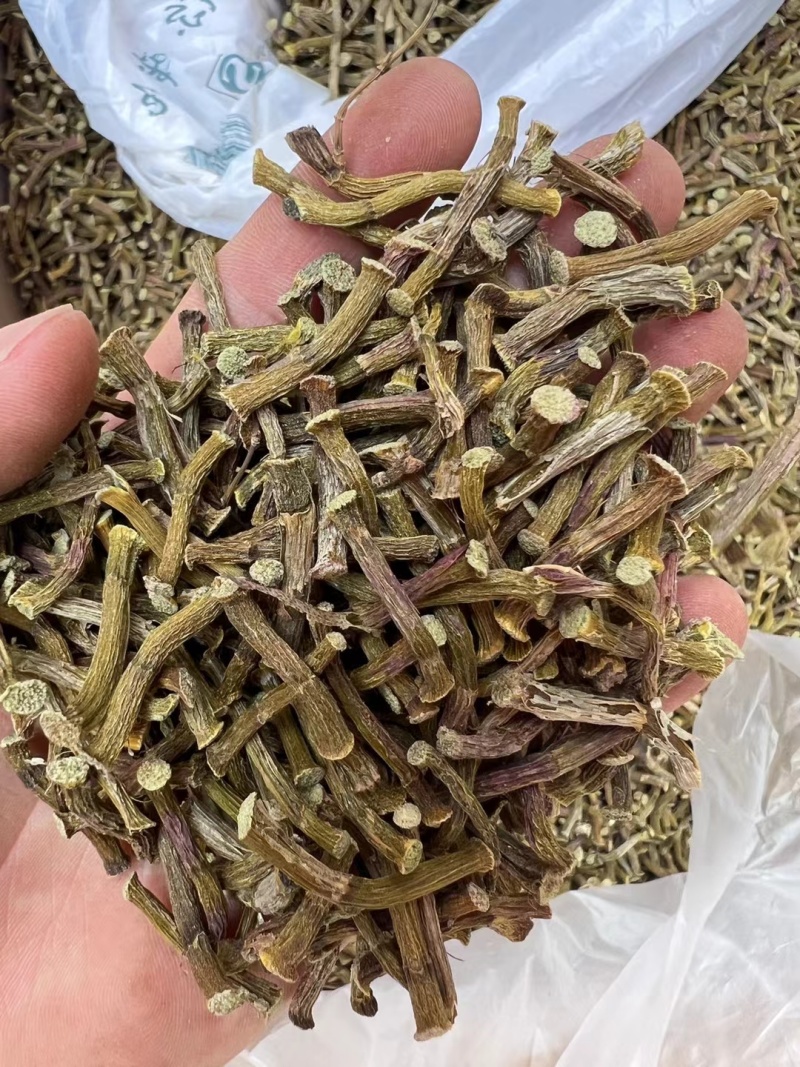 正宗铁皮石斛寸条干条金短条铁皮石斛枫斗石斛石斛批发