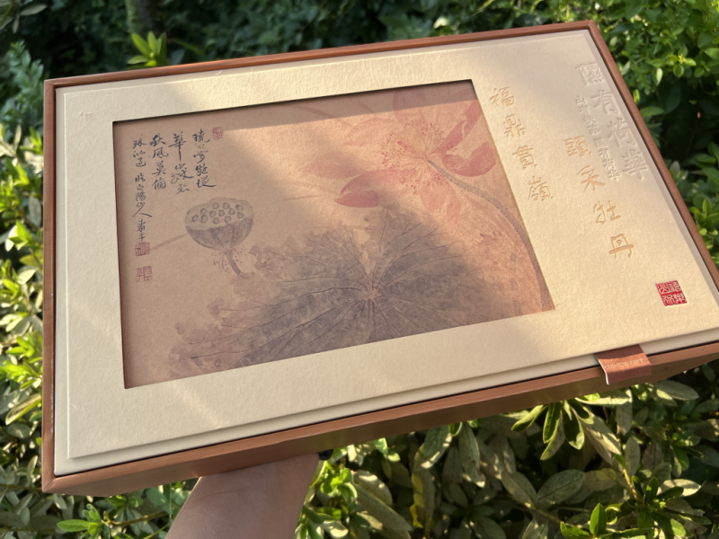 推荐白茶2024年毫香牡丹核心厂区花香毫香汤水清甜