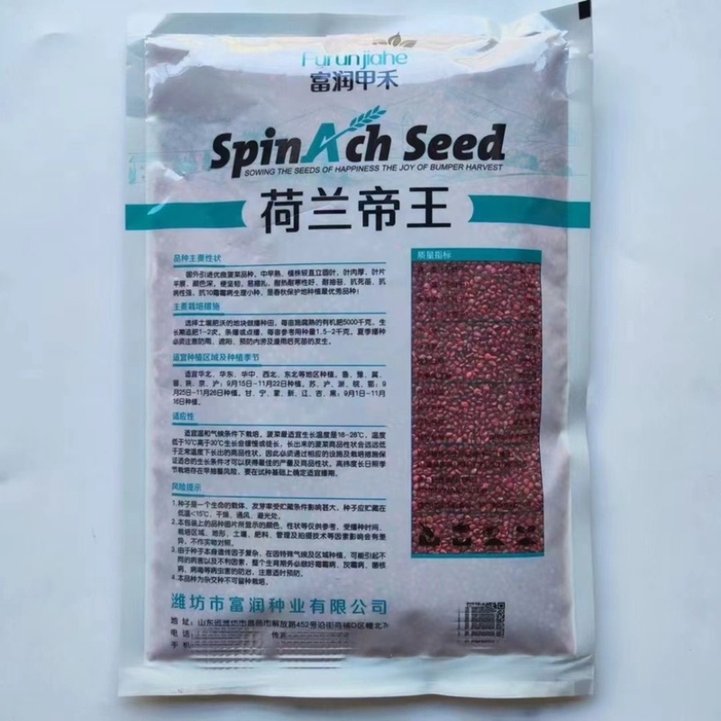 荷兰帝王菠菜种子圆叶品种秋播种子
