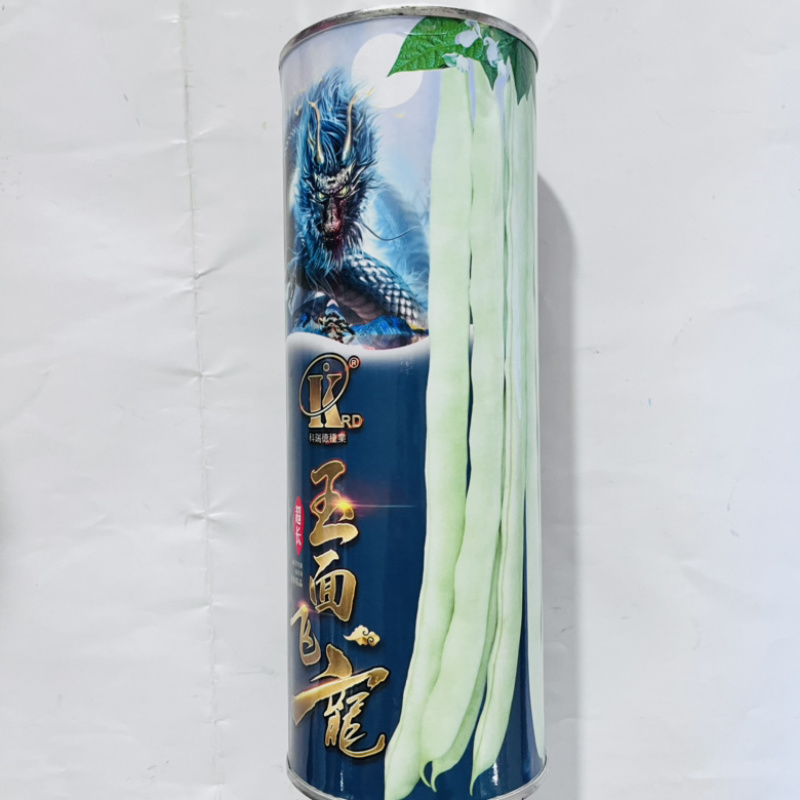 锦绣红花小金豆种子，四季种植品种种子
