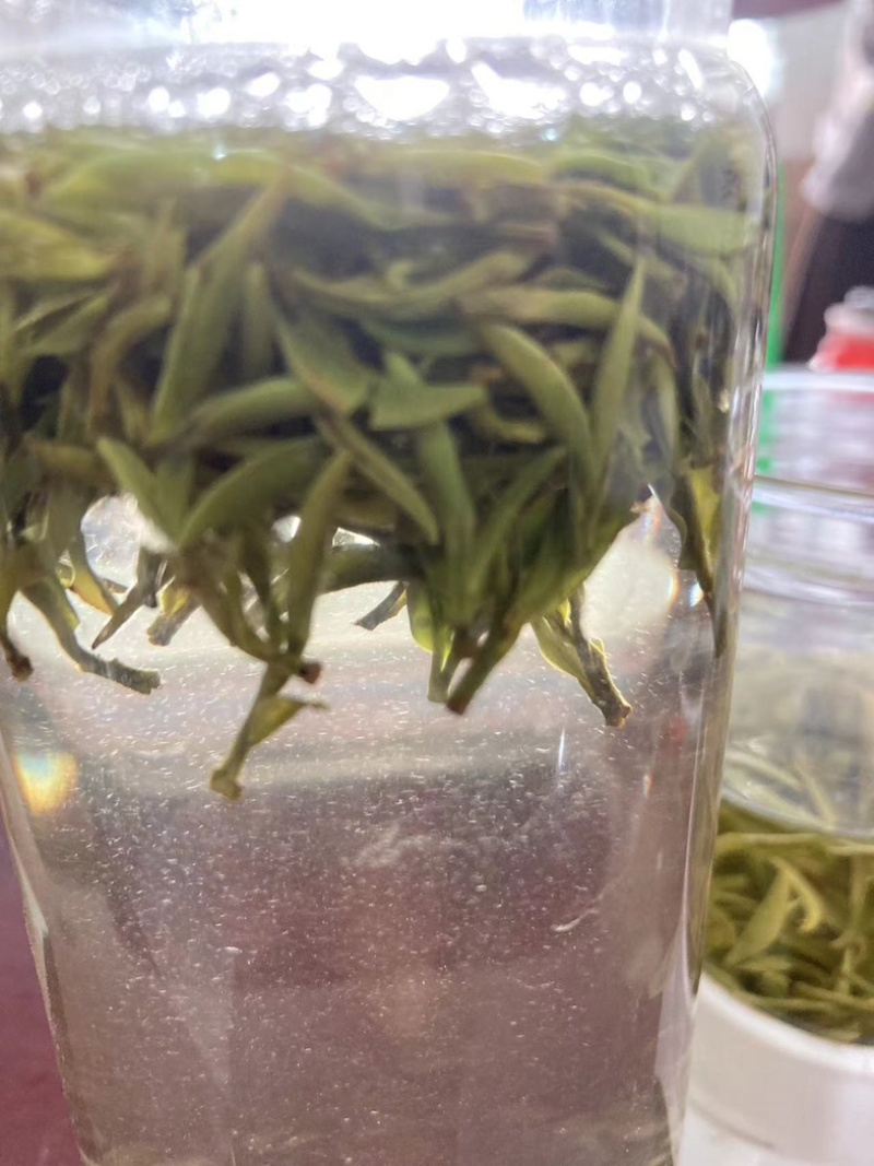 【推荐】黄山毛峰，明前春茶嫩芽茶叶产地直发