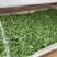 黄山太平猴魁手工捏尖茶叶兰花香果香