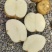 大西洋土豆精品黄皮白芯土豆产地直发一手货源保质保量