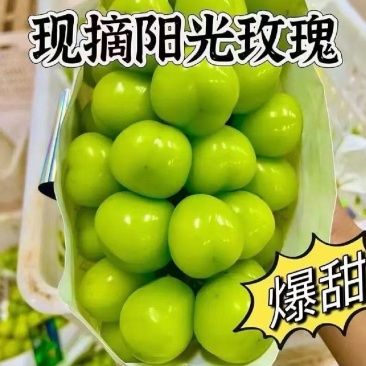 〔实力代收〕阳光玫瑰，山东阳光玫瑰精品好货现摘现发货可代