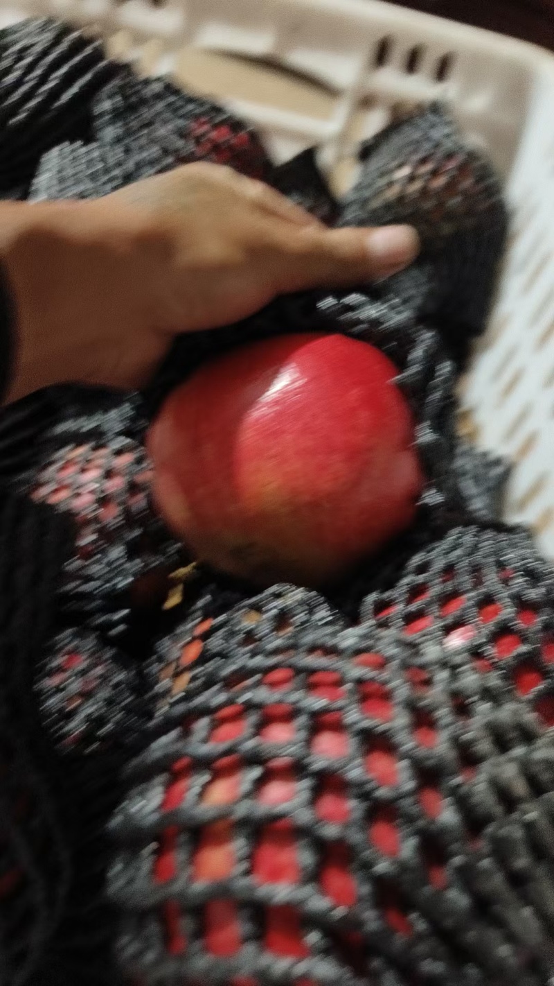 石榴礼品盒有意联系***********