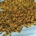 布莱瑞克无花果干，青皮红心***，可定制，需要的联系我哦