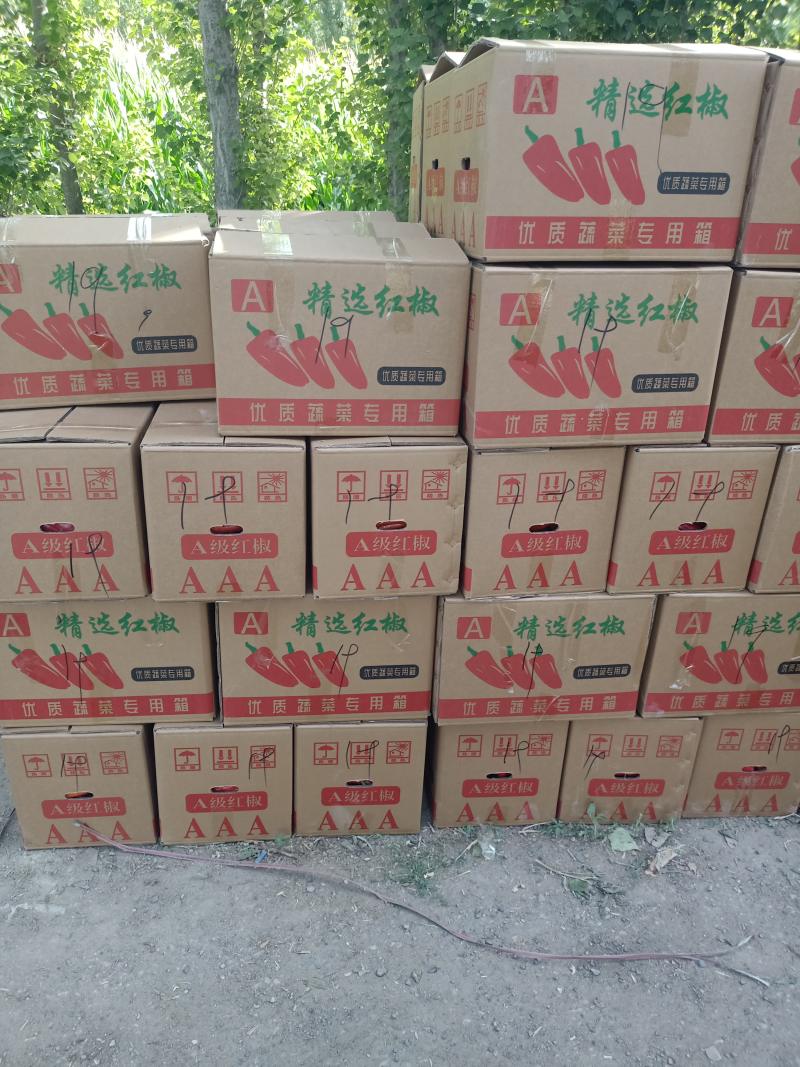 红辣椒