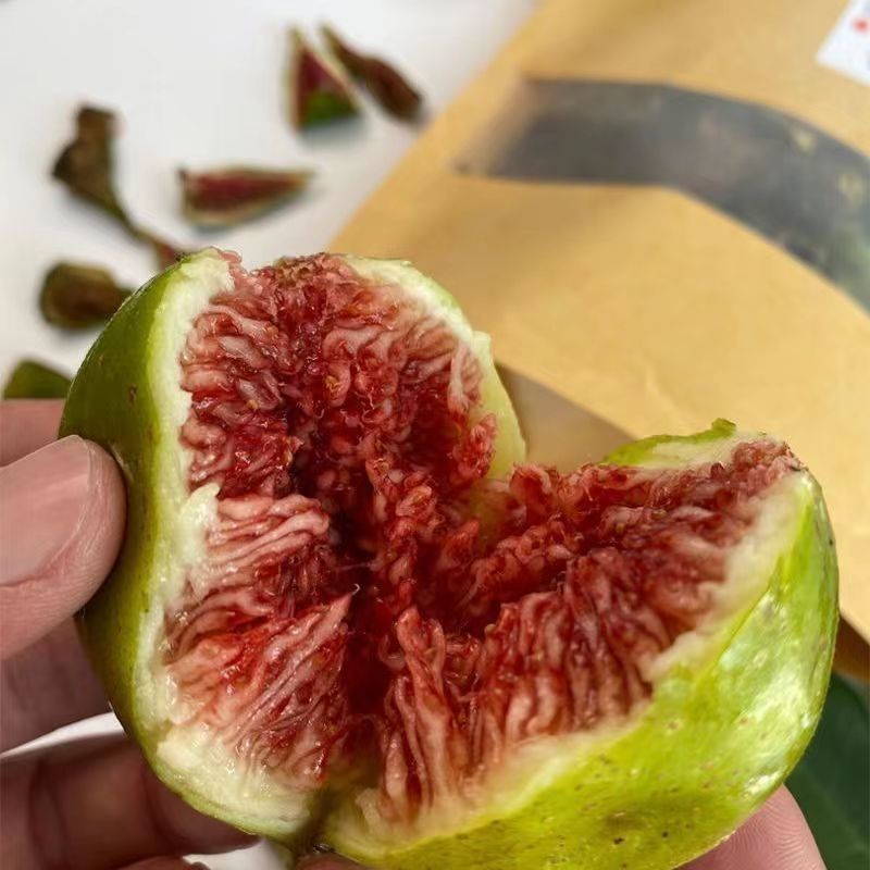 无花果茶干，蓬莱仙岛的无花果农家晒制，可批发可一件代发！