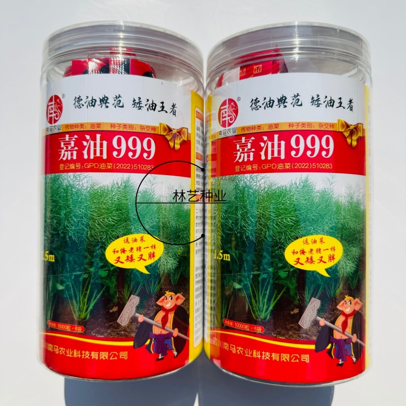 嘉油999油菜种子矮杆抗倒伏四川杂交黑油菜种籽中熟油菜籽