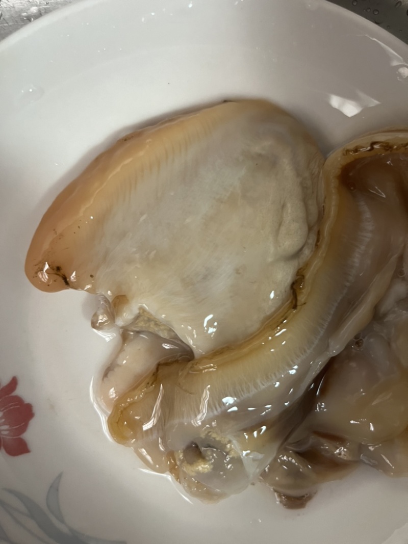 新鲜河蚌肉
