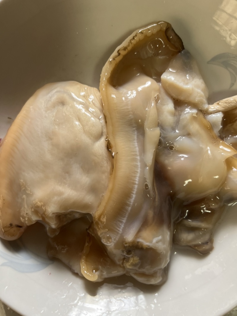 新鲜河蚌肉