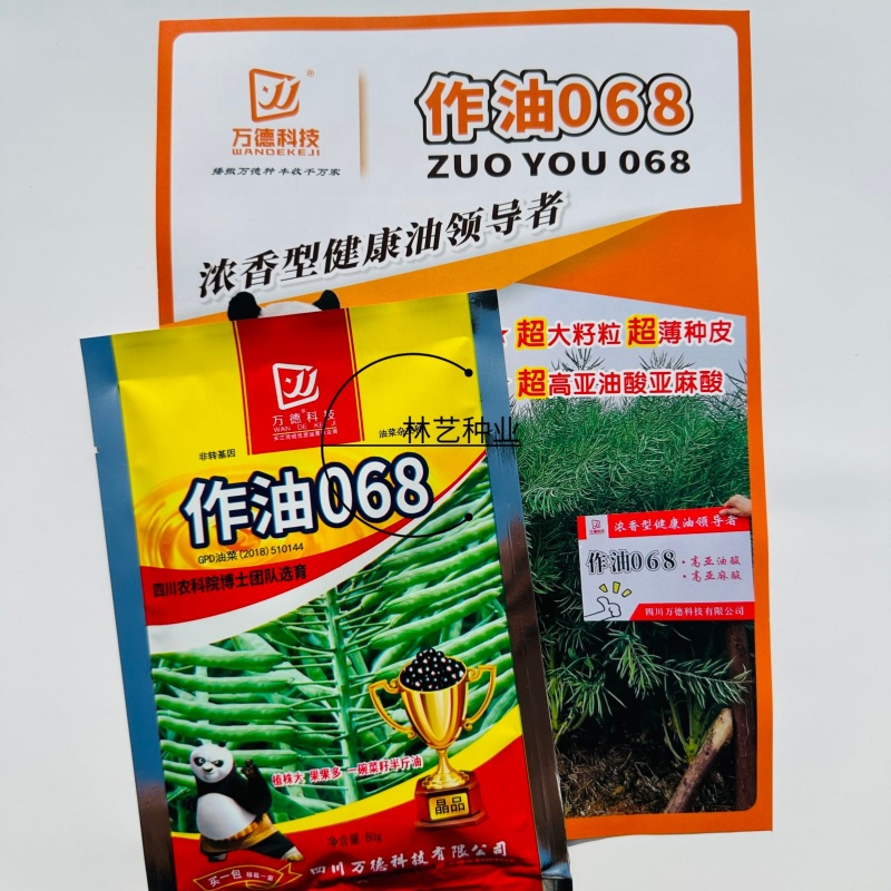 作油068油菜种子高油矮杆杂交甘蓝型黑油蔬菜种籽高产耐寒