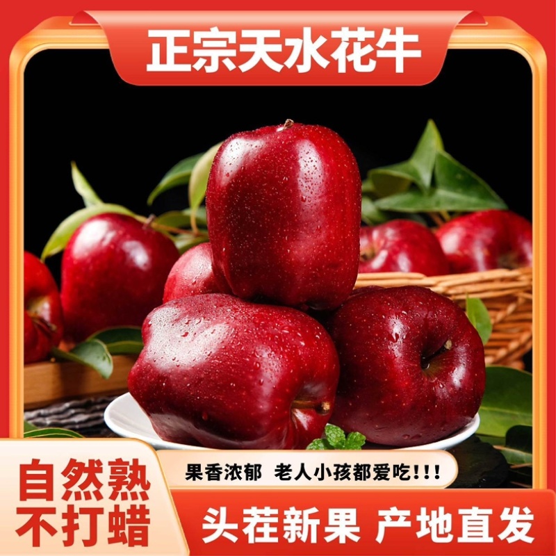 金川花牛苹果天水甘谷全国招商！规格齐全，红星蛇果