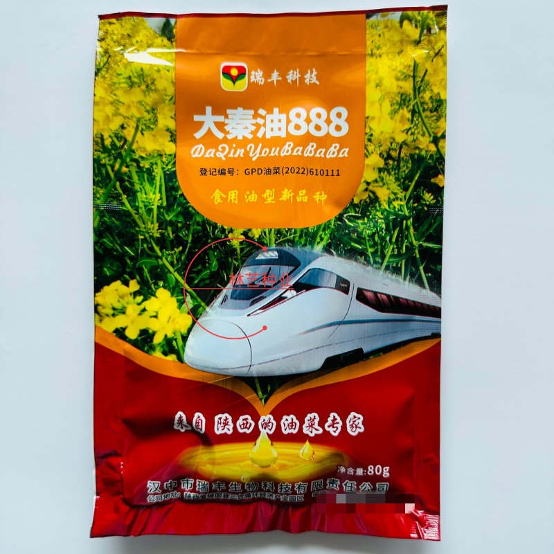 大秦油888杂交甘蓝型油菜种子高产抗病抗倒耐寒油菜籽