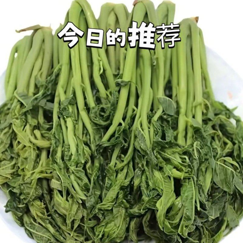 【源头厂家】香椿咸菜，