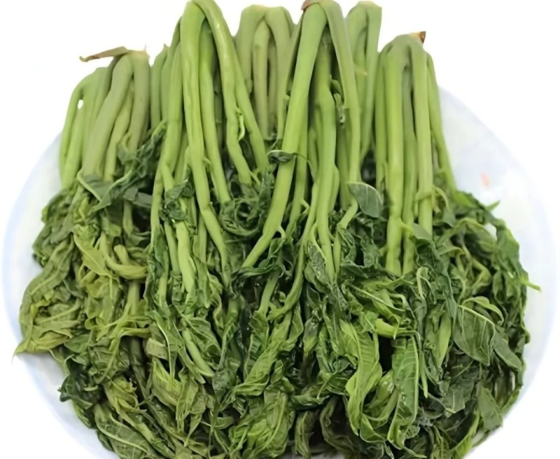 【源头厂家】香椿咸菜，
