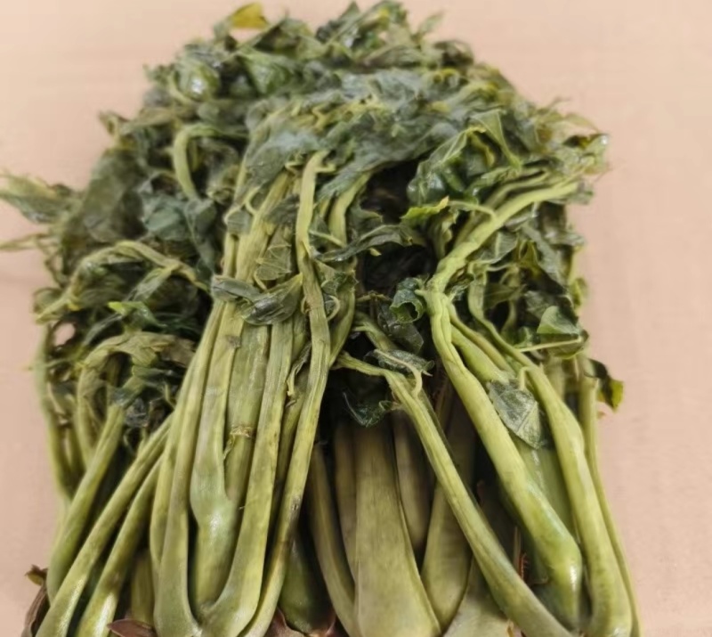 【源头厂家】香椿咸菜，