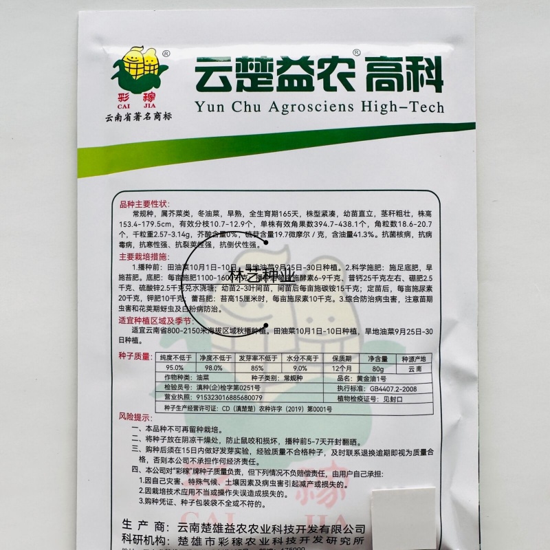 黄金油1号黄籽油菜种子芥菜类常规种早熟高产高油抗裂荚