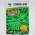 黄金油1号黄籽油菜种子芥菜类常规种早熟高产高油抗裂荚