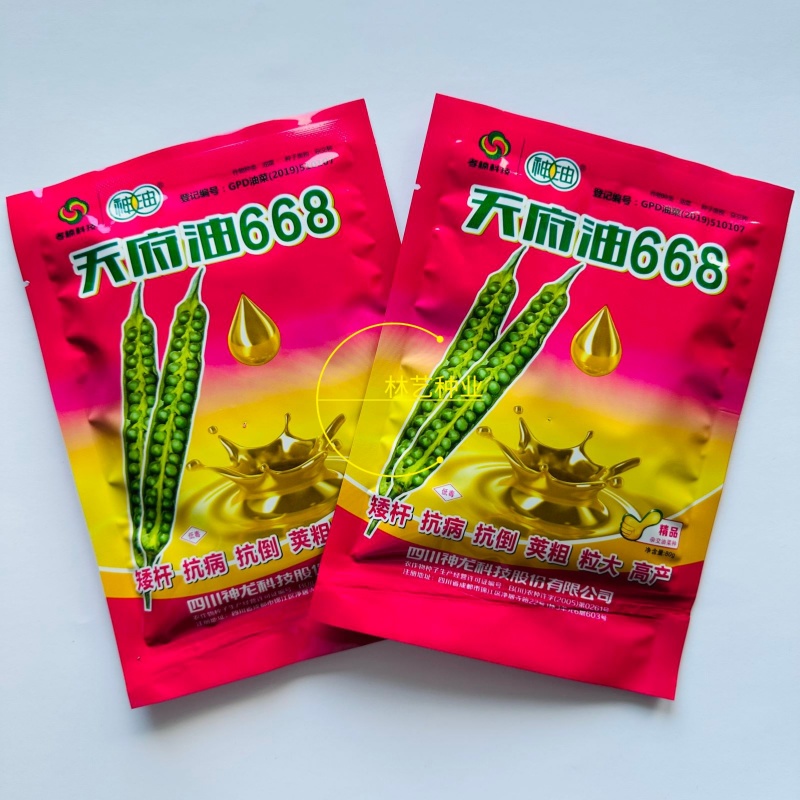 天府油668油菜种子矮杆抗病抗倒粒大油菜种籽正品原装