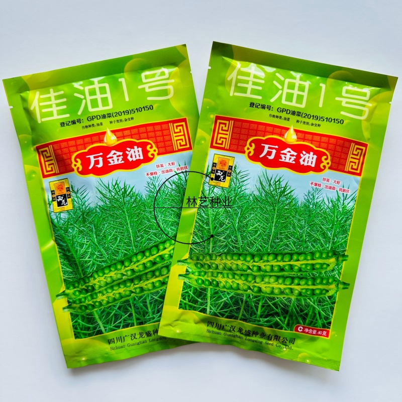佳油1号万金油油菜种子中熟杂交甘蓝油菜种籽抗寒抗病抗裂