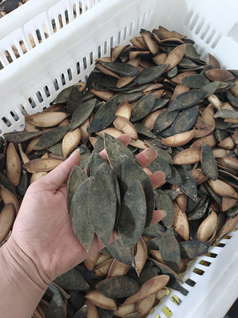 正宗化州正毛化橘红单皮，产地直发！全国发货！
