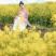 滁核杂1号油菜子甘蓝型大籽油菜籽耐寒高产高出油