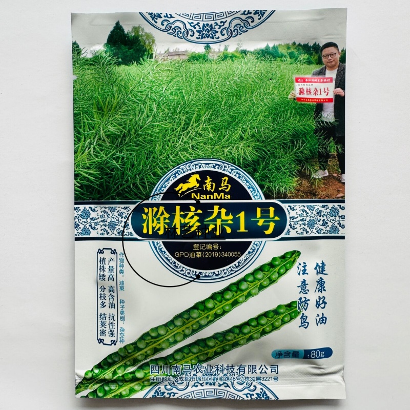 滁核杂1号油菜子甘蓝型大籽油菜籽耐寒高产高出油