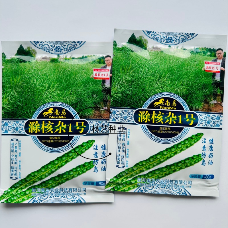 滁核杂1号油菜子甘蓝型大籽油菜籽耐寒高产高出油