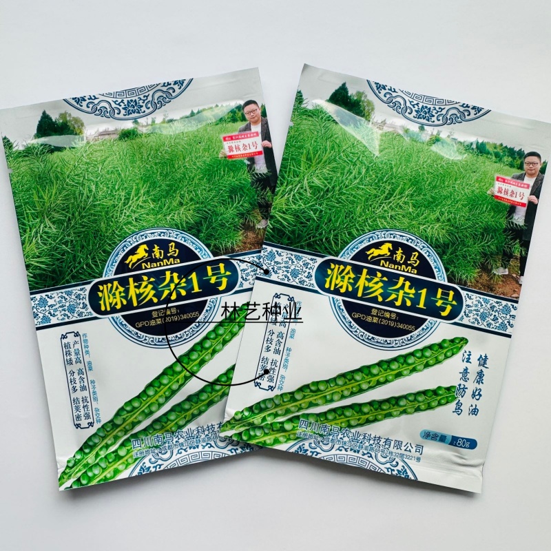 滁核杂1号油菜子甘蓝型大籽油菜籽耐寒高产高出油