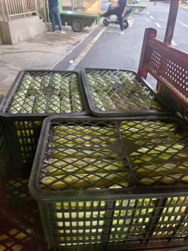 精品白玉丝瓜