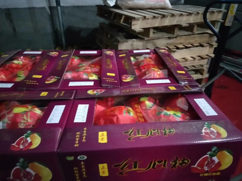 湖北柚子松滋市红心柚大量上市品质优欢迎各地客商洽谈合作