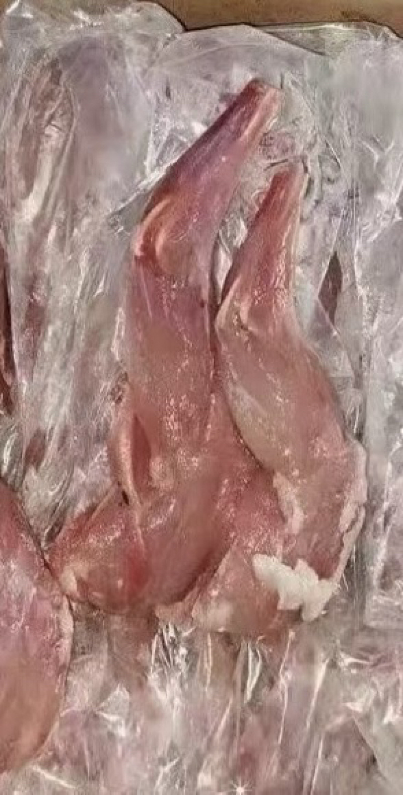 纯干大兔肉（去头，去油，去内脏）